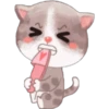 A
13