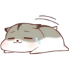 Hamster girl 12