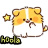 C-""
.8€
لیا
hoola