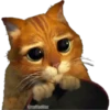 @raffadijaz