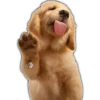 Perros I 22
