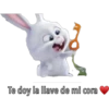 Te doy la llave de mi cora