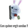 Snowball (pets) ️ 22