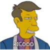 Simpson Varios DZ 24