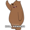 HOLA PENDEJO