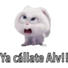 Ya cállate Alv!!