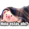 @raffadilaz
Hola estás ahí?