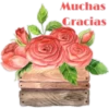 Flores y Flores 23