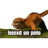 @raftadilaz
Jejexd un pelo