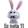 Es neta ?!