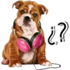 Girls & Dogs 21
