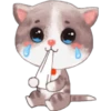 Gatito 25