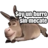 Soy un burro
sin mecate
@raffadilaz