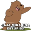 JAJA MIRA UNA ESTUPIDA