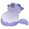 Gatita blanca 30