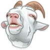 Trending Animals 6