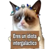 Grumpy Cat Cartel 5