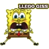 BOB SPONJA 5