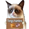 Grumpy Cat Cartel 6