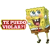 BOB SPONJA 6