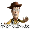 woody toy story 6