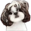Perros II 7