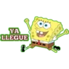 BOB SPONJA 7