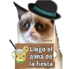 Grumpy Cat Cartel 7