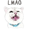 Cats 5