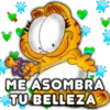 @BosHadder
ME ASOMBRA
TU BELLEZA