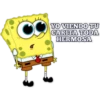 BOB SPONJA 10