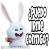 La Vida Secreta de tus Mascotas (Part 1) 14