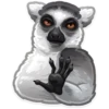 Trending Animals 12