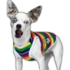 Perros II 10