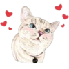 Cats 9