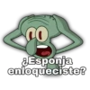 ¿Esponja enloqueciste?
