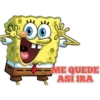 BOB SPONJA 12