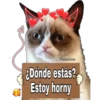 Grumpy Cat Cartel 8