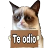 Grumpy Cat Cartel 9