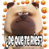 La Vida Secreta de tus Mascotas (Part 1) 17
