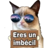 Grumpy Cat Cartel 10