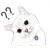 Cats 11