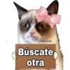 Grumpy Cat Cartel 11