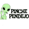 PINCHE
PENDEJO