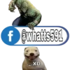 f@whatts591 XD