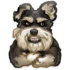 Trending Animals 17