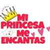 W
@ballolet88
MI
PRINCESA
Me♥
ENCANTAS