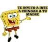 BOB SPONJA 14