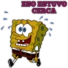 BOB SPONJA 15