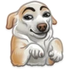 Trending Animals 19
